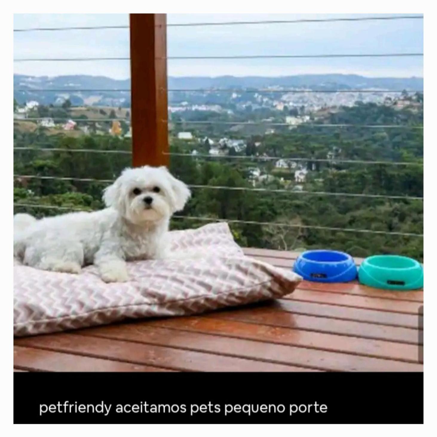 Pascoa! Carpe Diem Boutique - Pet Peq Porte Apartment Campos do Jordao